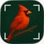 Bird Identifier app icon